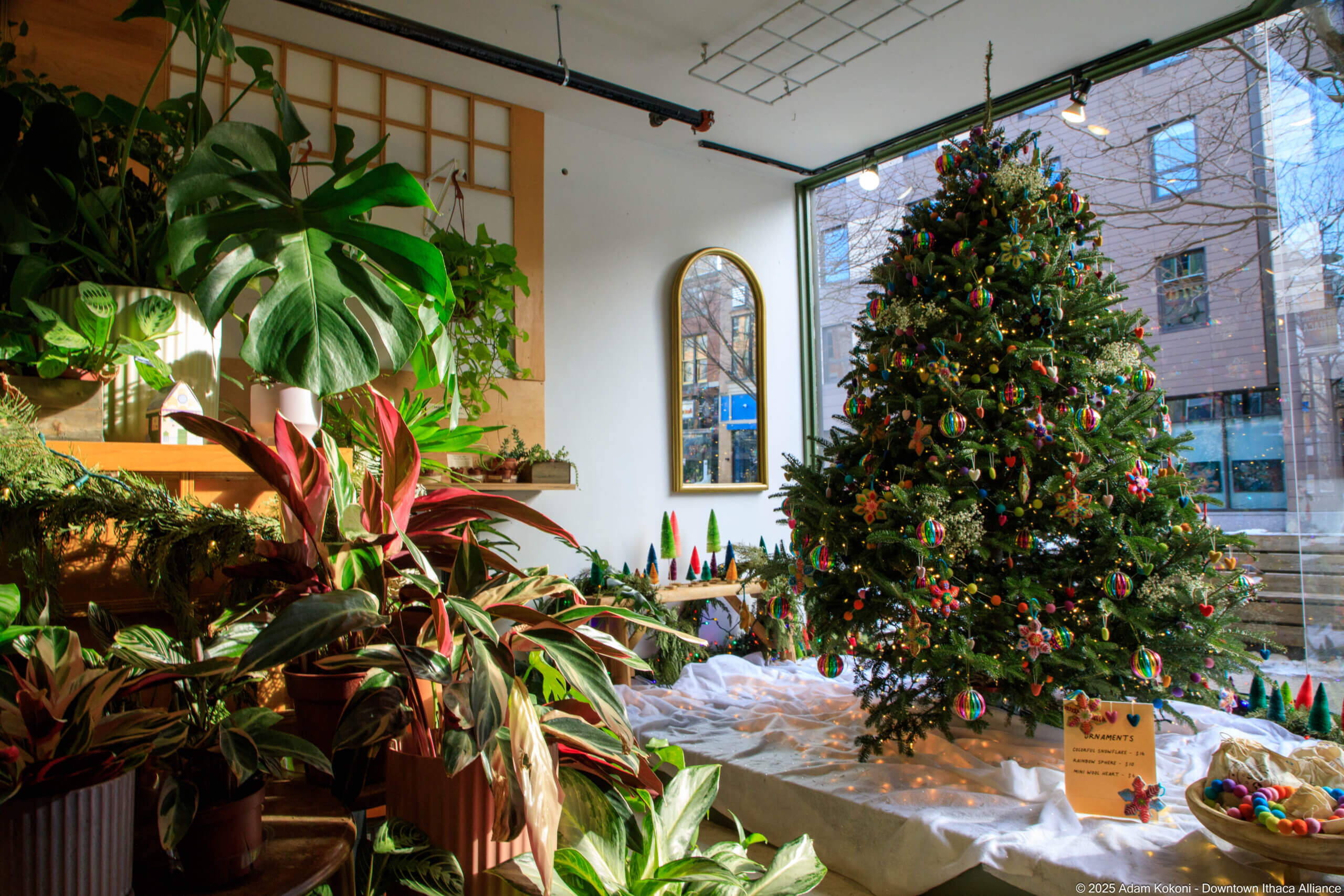 First place additional photo B