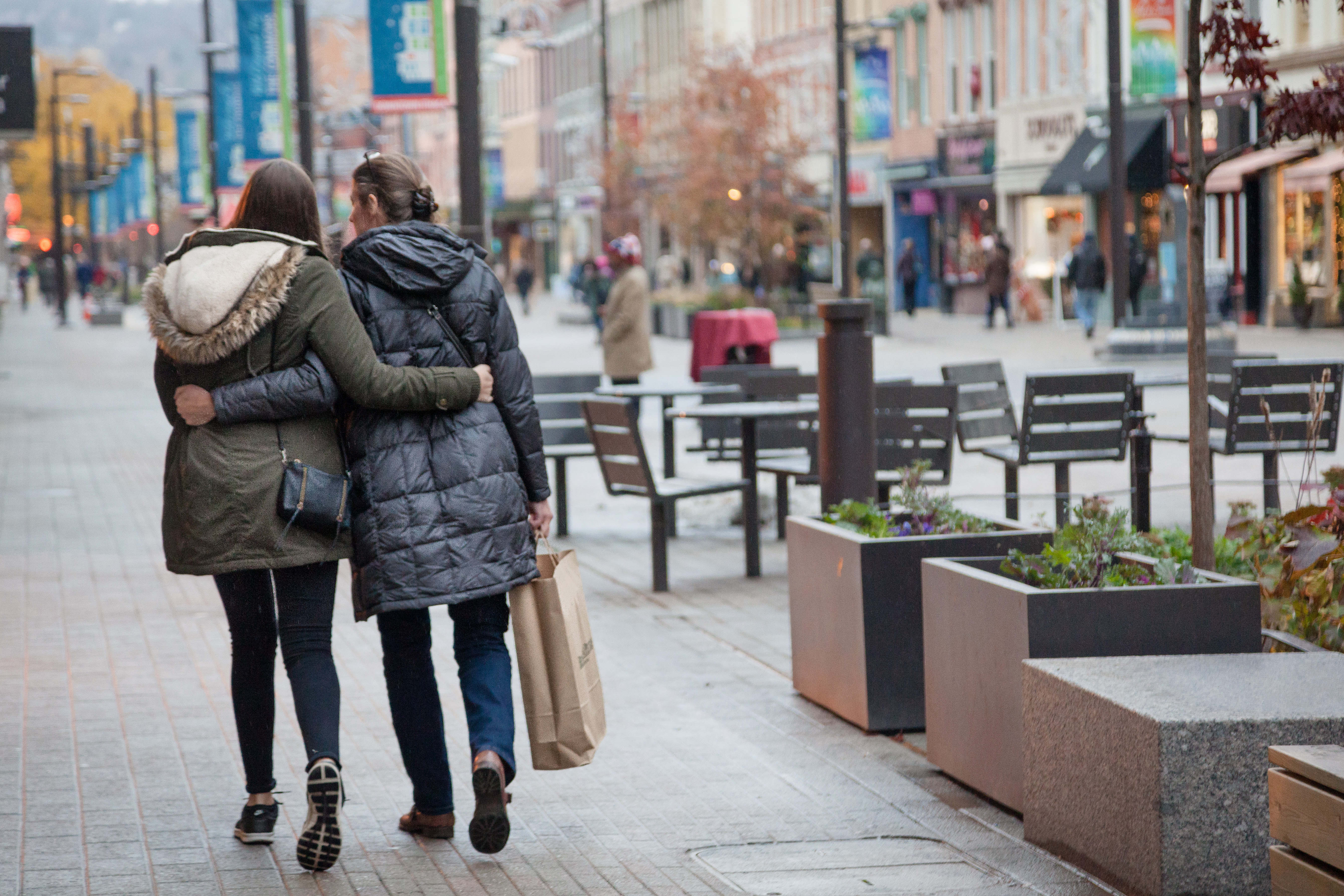 Downtown Ithaca shopping