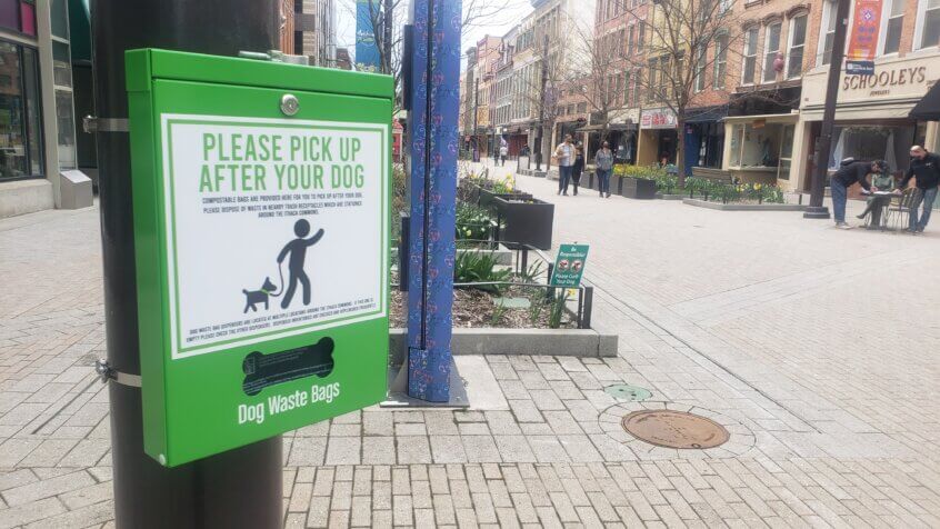 Green dog waste bag station on the Commons to make Commons a more pet friendly community