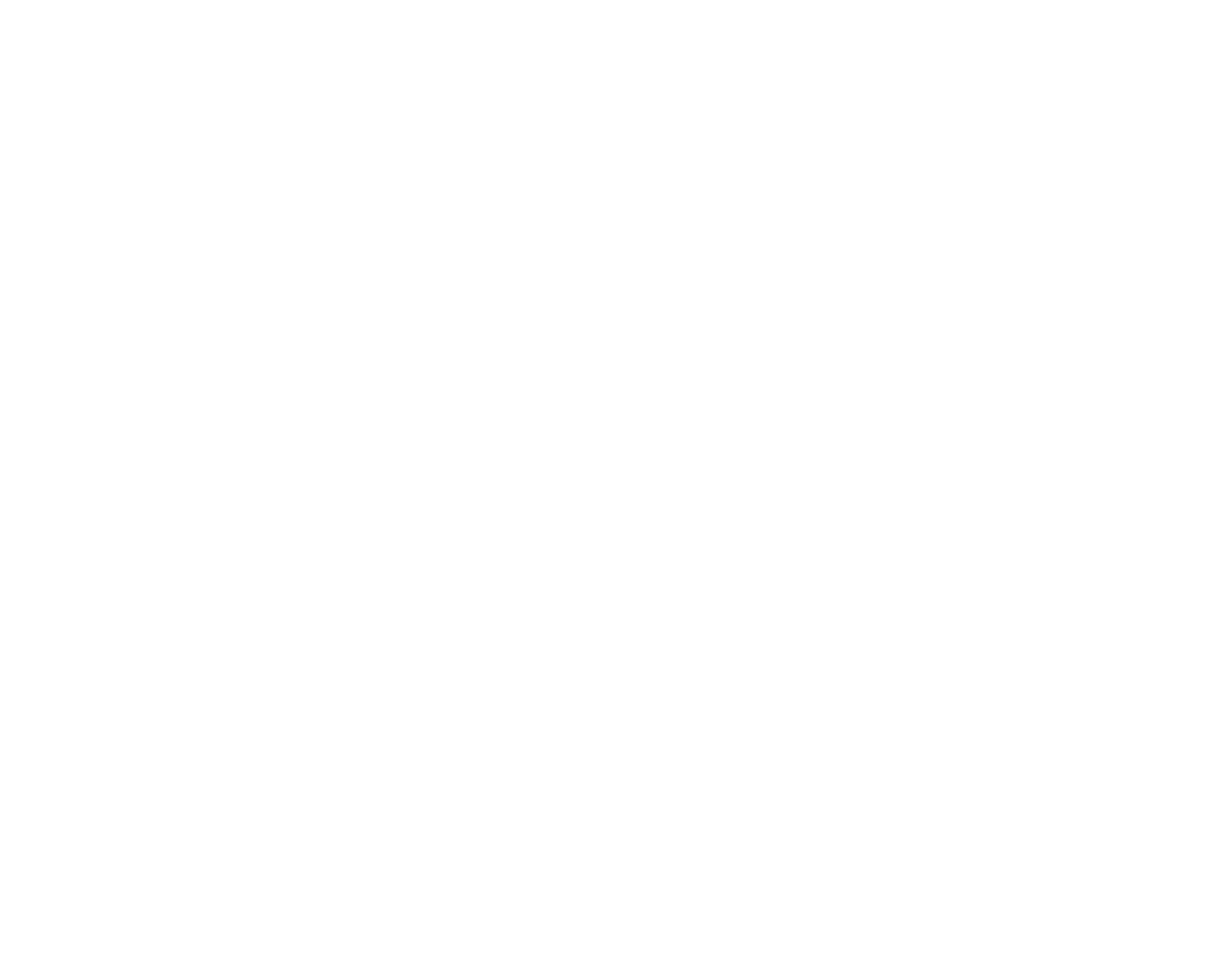 Bousquet Holstein PLLC logo